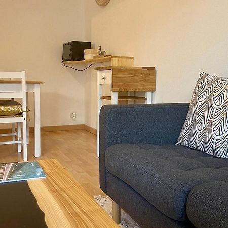 Sully II - Apartment Of 33 Sqm With Parking 400M From Lake Annecy Ngoại thất bức ảnh